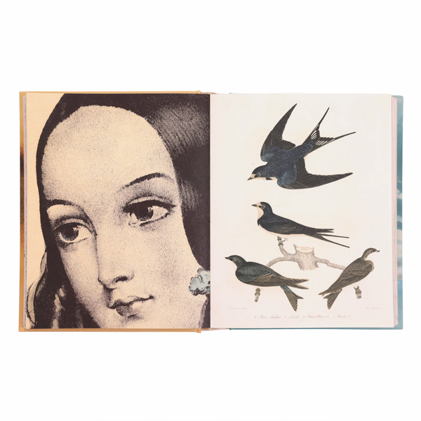 John Derian Sticker Book