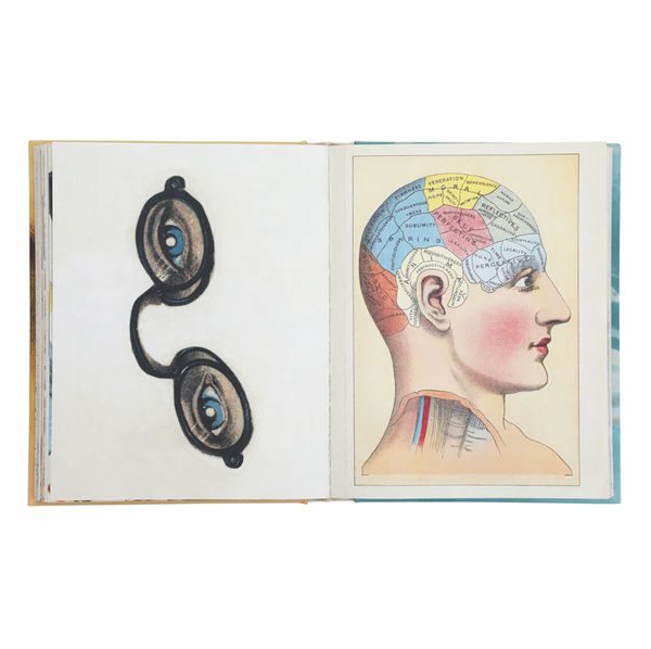 John Derian Sticker Book