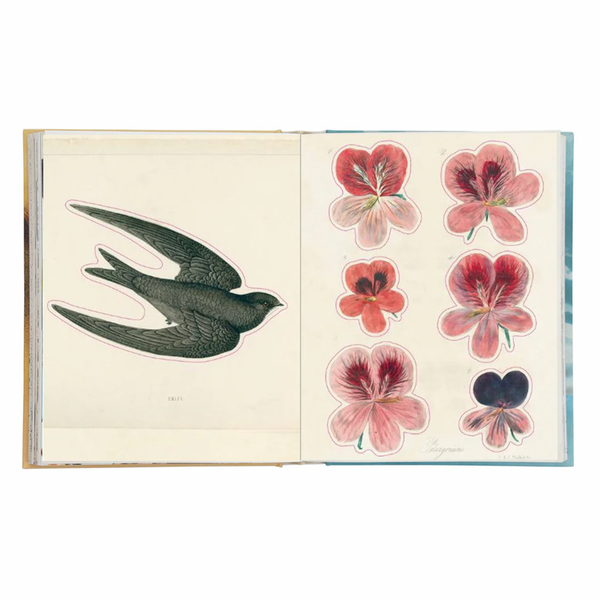 John Derian Sticker Book