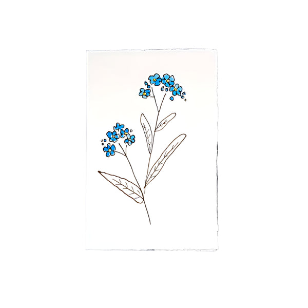Forget Me Not