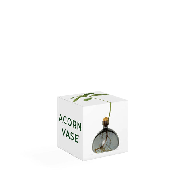 Acorn Vase
