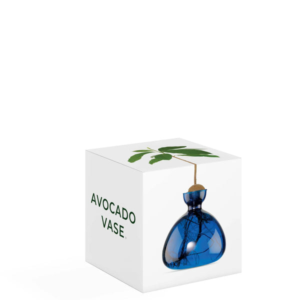 Avocado Vase