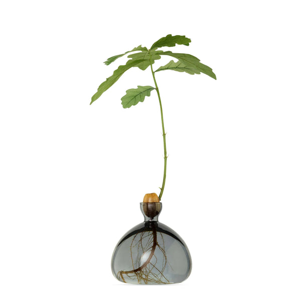 Acorn Vase